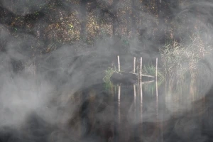 Nebbia fitta tra i neolaureati di cinese: istruzioni per attivare i fendinebbia